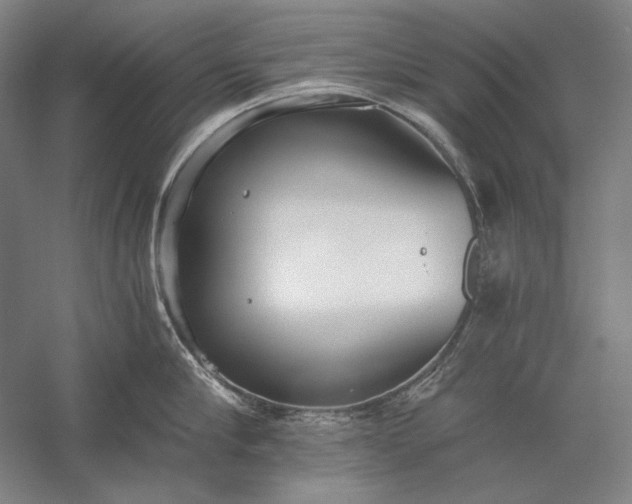 X0000056360910200509091619