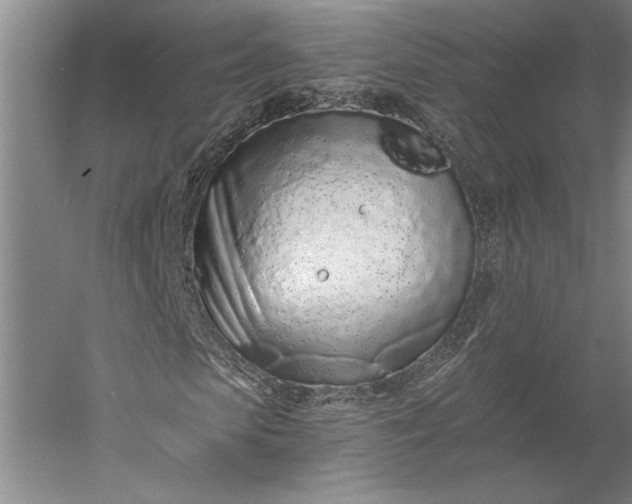 X0000056360913200509091618