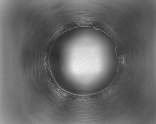 X0000056360915200509091618