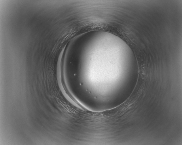 X0000056360916200509091618