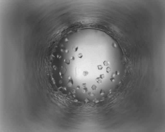 X0000056360917200509091618