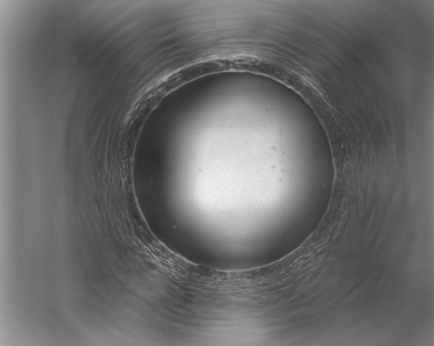 X0000056360920200509091618