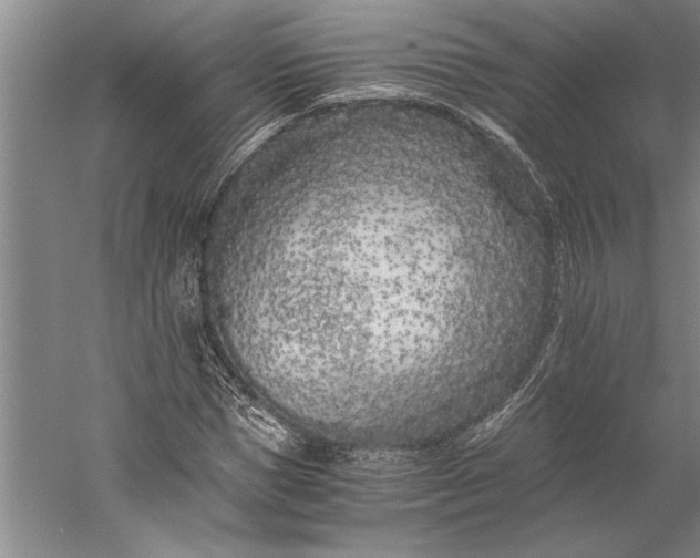 X0000056360921200509091618