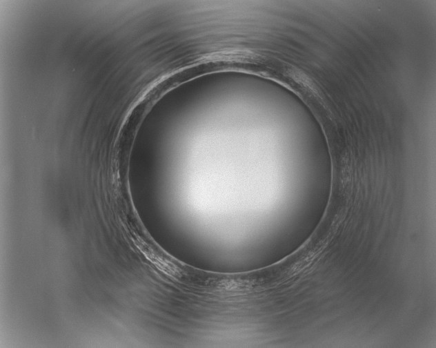 X0000056360923200509091619