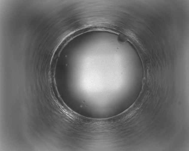 X0000056360924200509091619