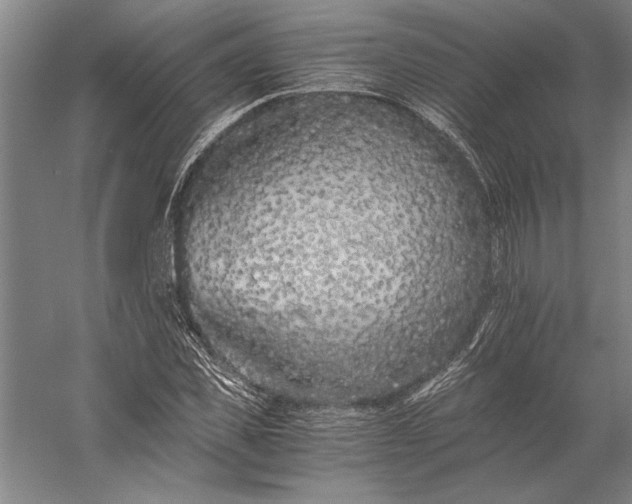 X0000056360925200509091619