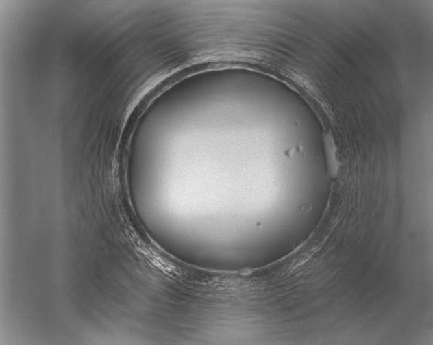 X0000056360928200509091619