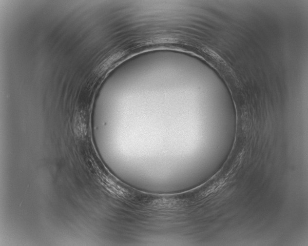 X0000056360929200509091619