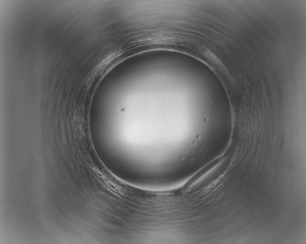 X0000056360930200509091619