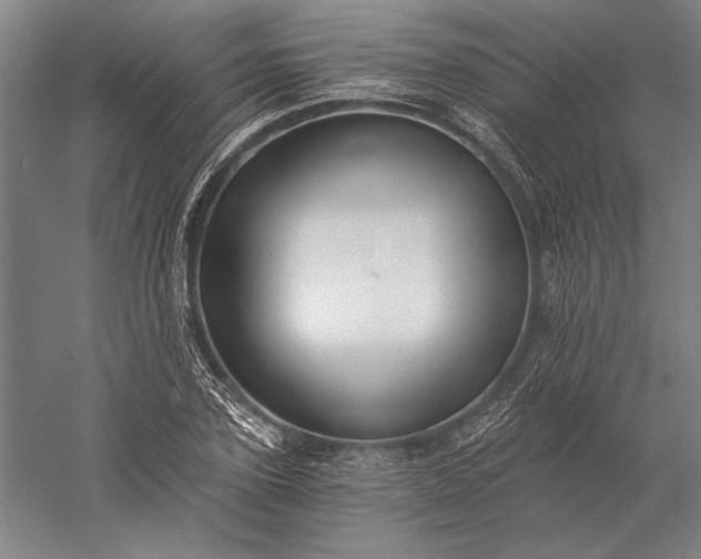 X0000056360931200509091619