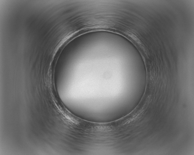 X0000056360933200509091619