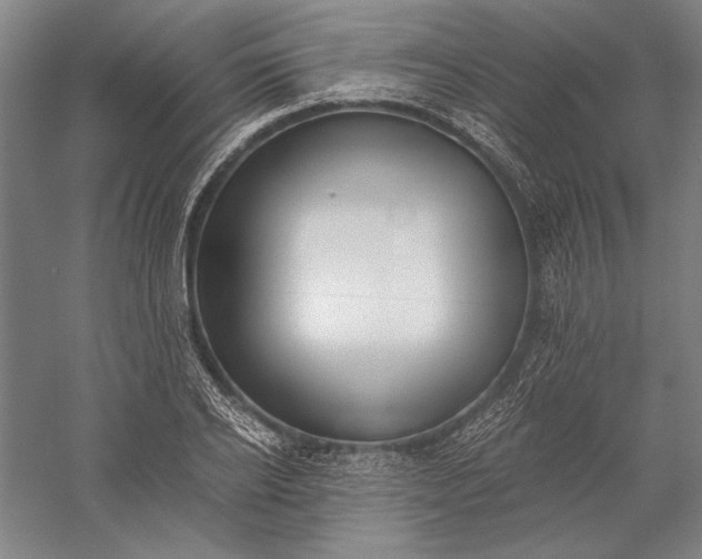 X0000056360934200509091619