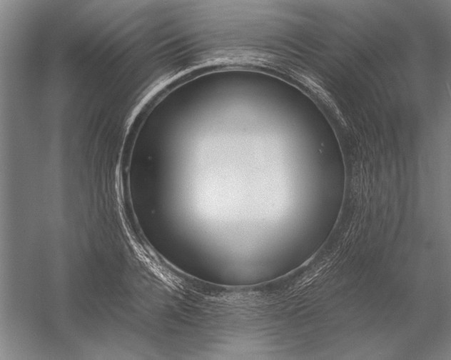 X0000056360936200509091619