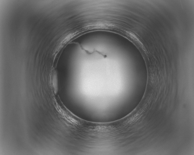 X0000056360938200509091619