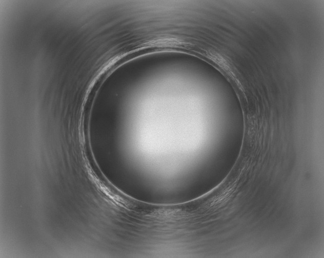 X0000056360939200509091619