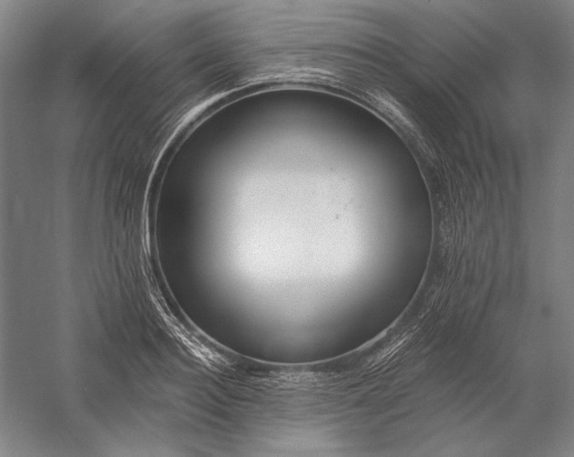 X0000056360940200509091619