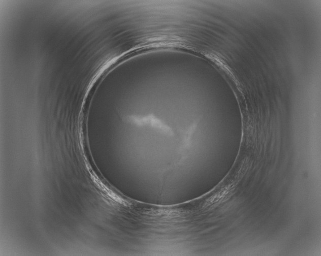 X0000056360941200509091619