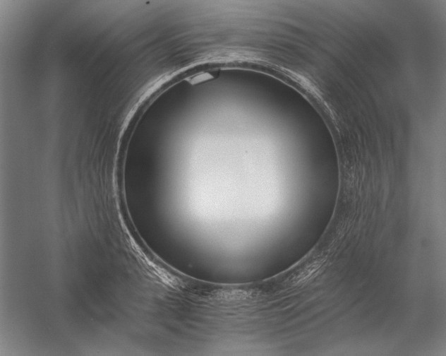 X0000056360943200509091619