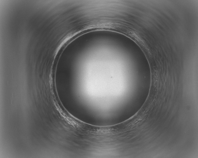 X0000056360944200509091619