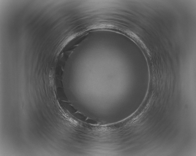 X0000056360945200509091619