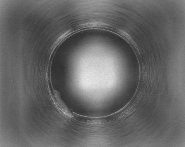 X0000056360946200509091619