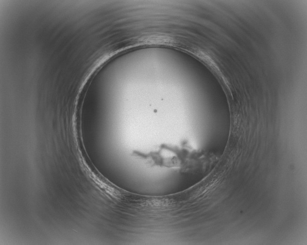 X0000056360947200509091619