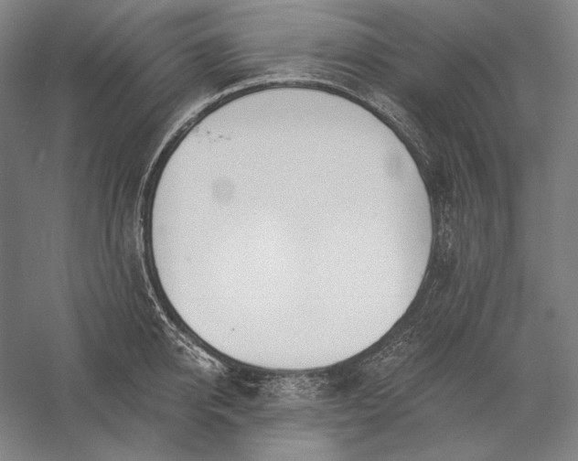 X0000056360950200509091619