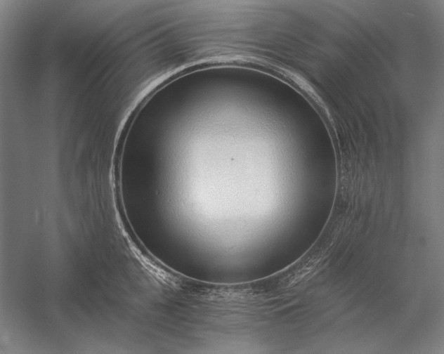 X0000056360951200509091619