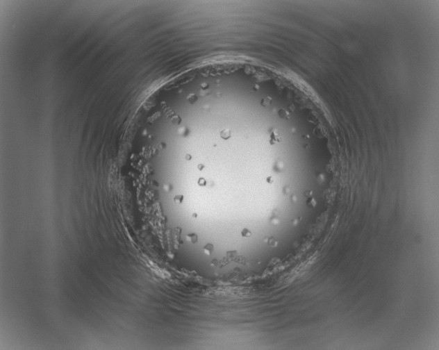 X0000056360953200509091619