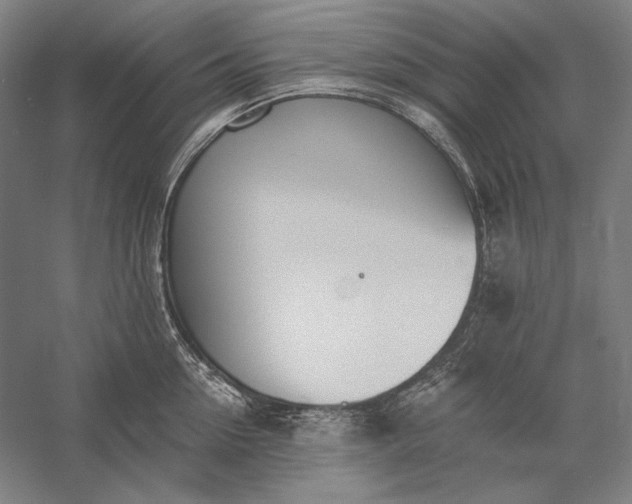 X0000056360954200509091619