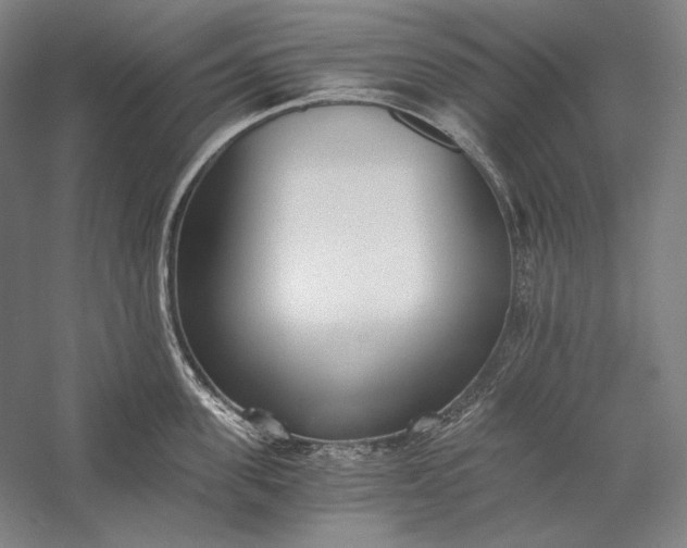 X0000056360955200509091619