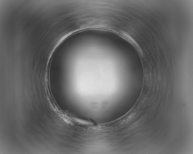 X0000056360956200509091619