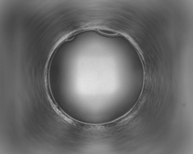 X0000056360957200509091619