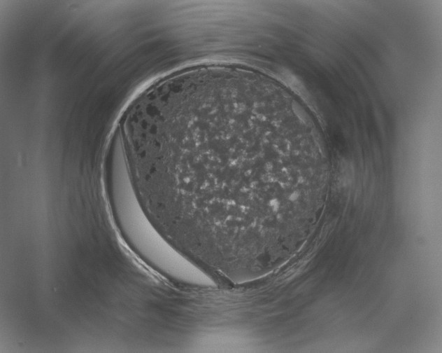 X0000056360958200509091619