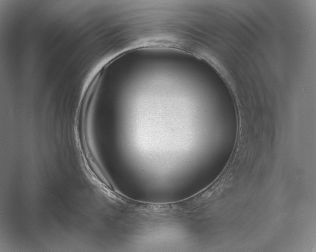 X0000056360960200509091619