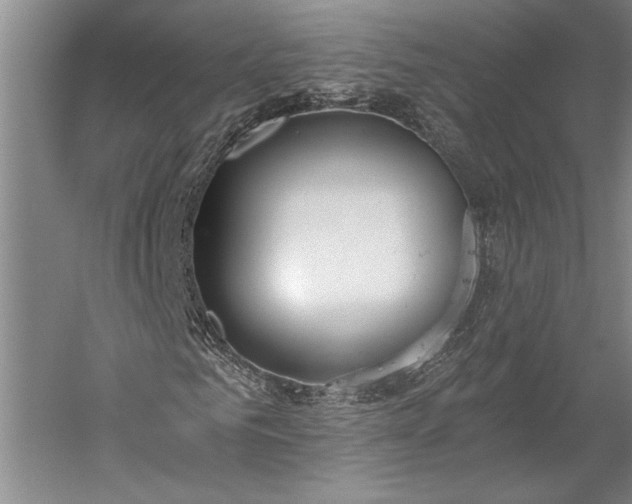 X0000056360961200509091618