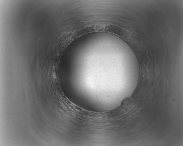 X0000056360962200509091618