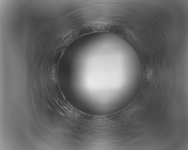 X0000056360964200509091618