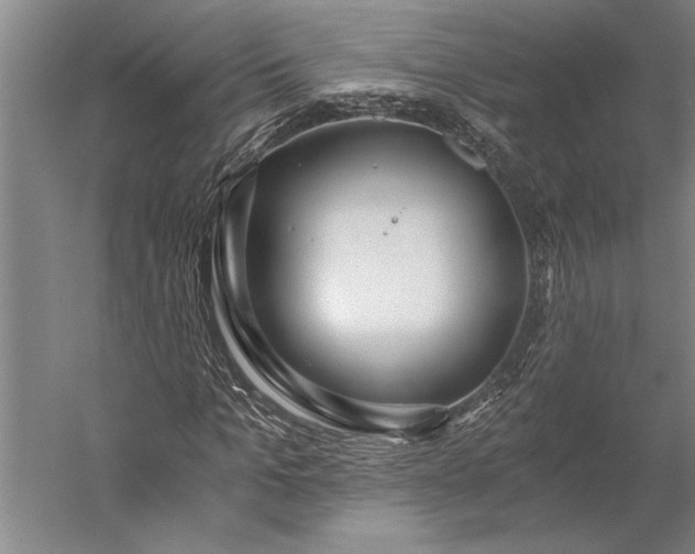 X0000056360965200509091618