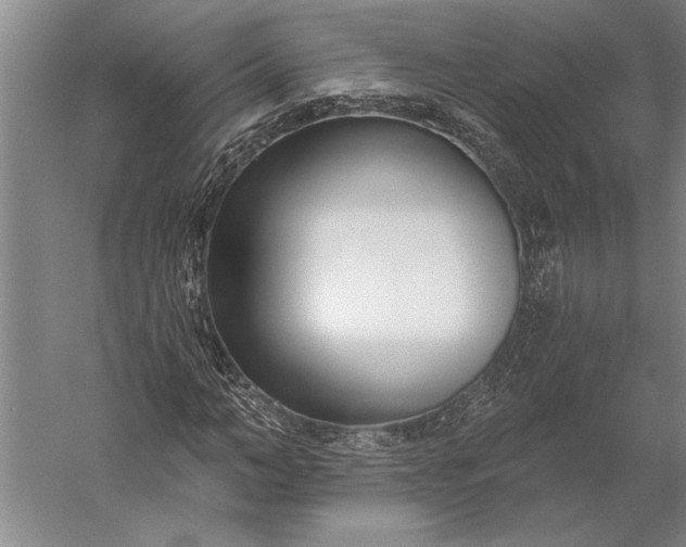 X0000056360966200509091618