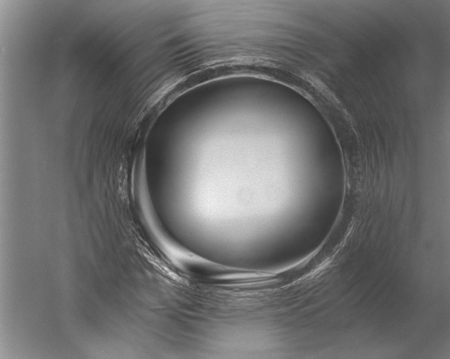 X0000056360969200509091618