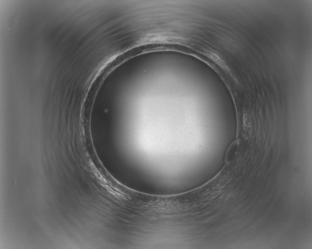 X0000056360972200509091618