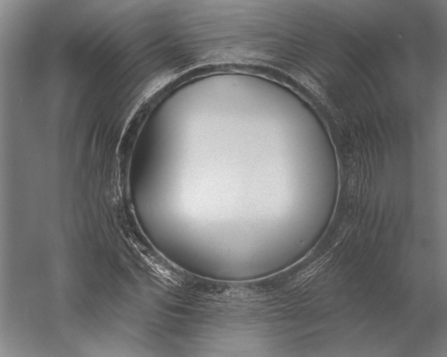 X0000056360974200509091618