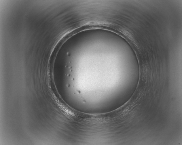 X0000056360976200509091618