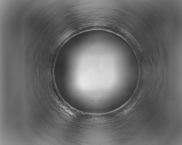 X0000056360977200509091618