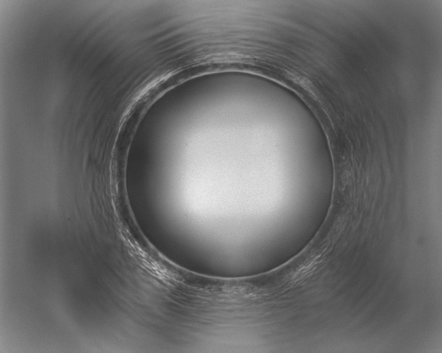 X0000056360979200509091618