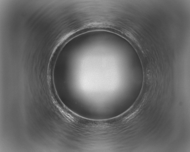 X0000056360981200509091618