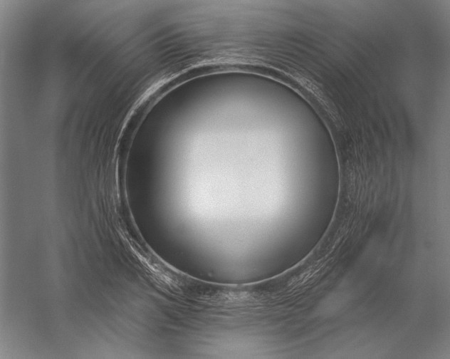 X0000056360982200509091618