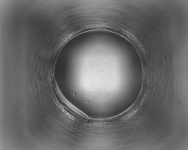 X0000056360985200509091618