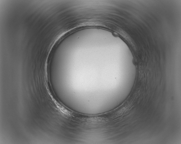 X0000056360988200509091618